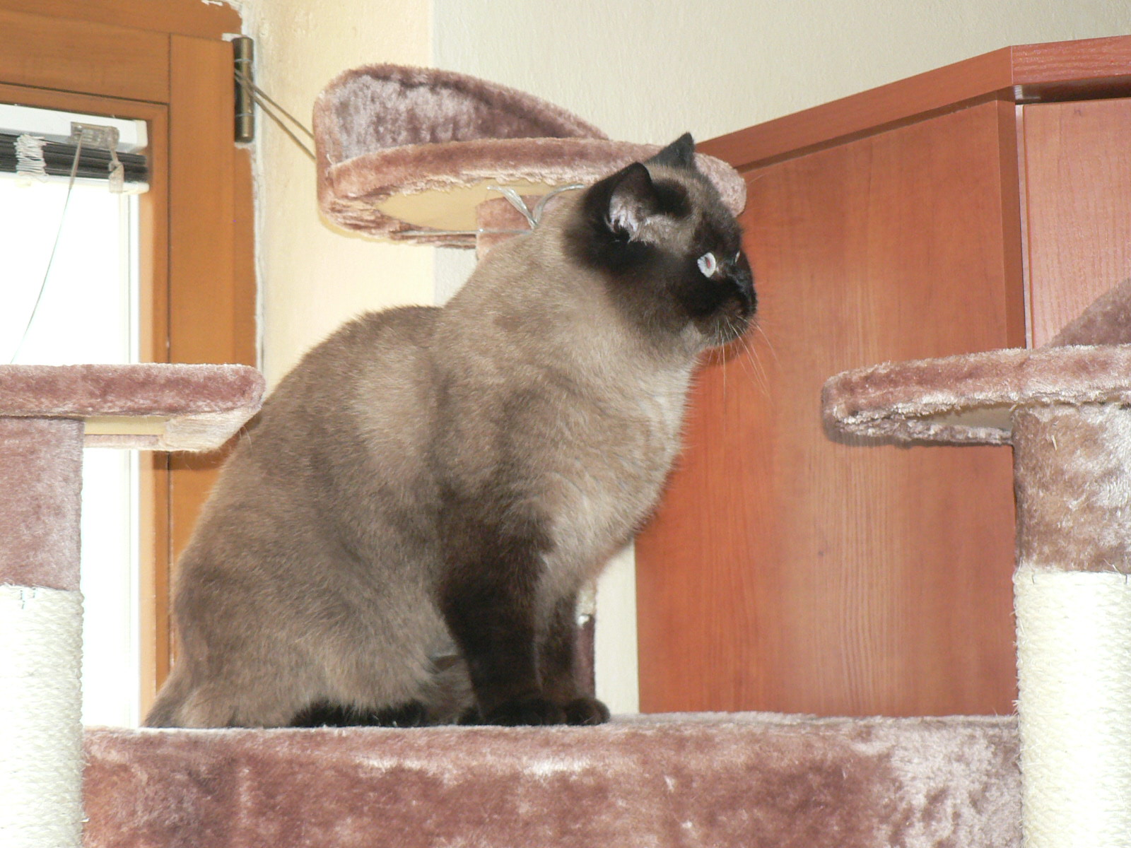P1300056.JPG